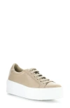 Bos. & Co. Maya Lace-up Platform Sneaker In Neutral
