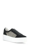 Bos. & Co. Maya Lace-up Platform Sneaker In Black