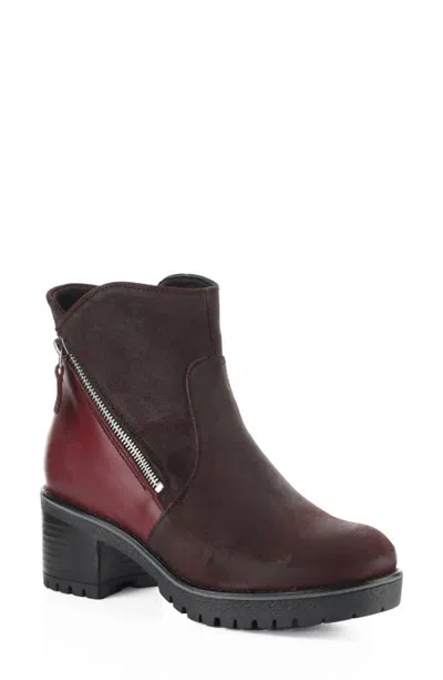 Bos. & Co. Mora Leather Bootie In Brown