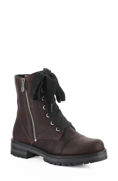 Bos. & Co. Paulie Waterproof Lace-up Bootie In Brown
