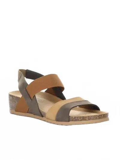 Bos. & Co. Women's Labos Wedge Sandal In Multi Dark Brown