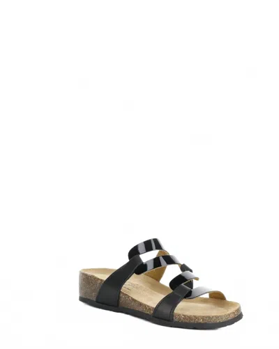 Bos. & Co. Women's Luzzi Sandal In Black