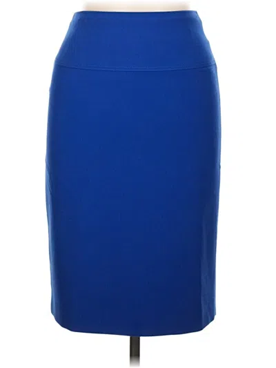 Pre-owned Boss By Hugo Boss Formal Skirt In Blue