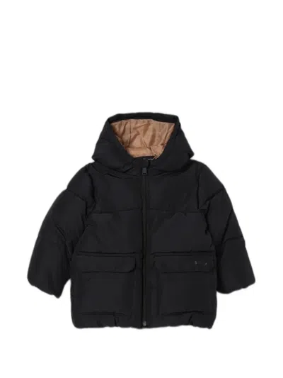Bosswear Kids' Hooded Padded Coat In Black