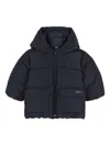 Bosswear Hooded Puffer Jacket In Black