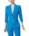 Bossy Chic 2pc Blazer & Pant Set In Blue