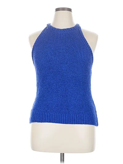 Pre-owned Boston Proper Sweater Vest In Blue