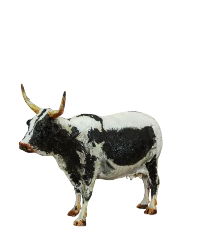Botanical Boys Black / White Paper Mache Nguni Cow - One Eight Five Four In Brown