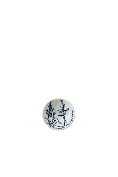 Botanical Boys Blue / White Cobalt Blue Fynbos Ceramic Plate - Eleven