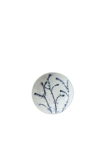 Botanical Boys Blue / White Cobalt Blue Fynbos Ceramic Plate - Five