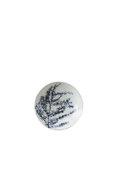 Botanical Boys Blue / White Cobalt Blue Fynbos Ceramic Plate - Four