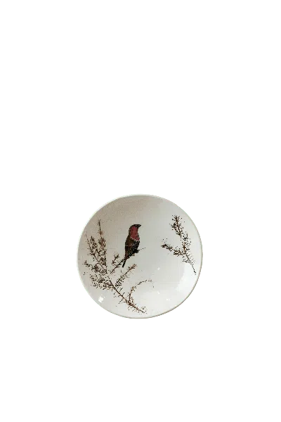 Botanical Boys Blue / White Fynbos & Bird Ceramic Plate Eighteen In Multi