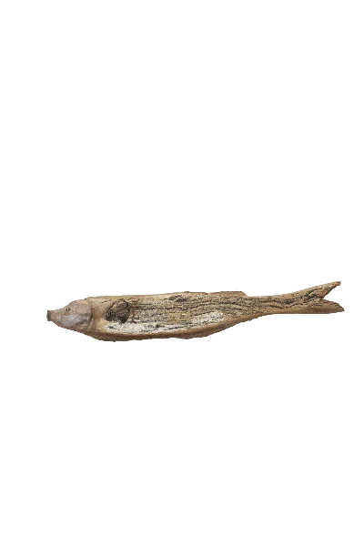 Botanical Boys Brown Driftwood Hand Carved Fish - Fifteen One