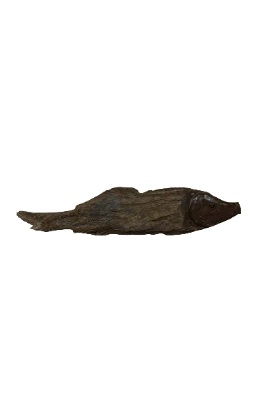 Botanical Boys Brown Driftwood Hand Carved Fish - One One Six Eight