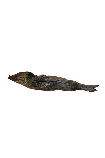Botanical Boys Brown Driftwood Hand Carved Fish - One One Six Five
