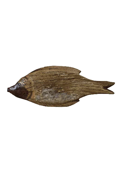 Botanical Boys Brown Driftwood Hand Carved Fish - One One Six One