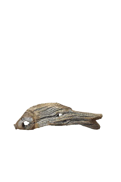 Botanical Boys Brown Driftwood Hand Carved Fish - Thirteen Four