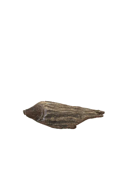 Botanical Boys Brown Driftwood Hand Carved Fish - Thirteen Two