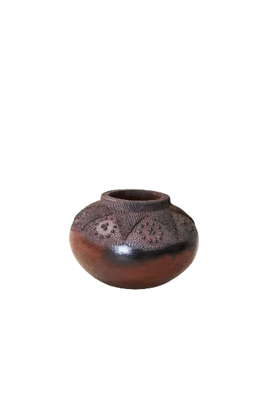Botanical Boys Brown Zulu Pot - Six Nine