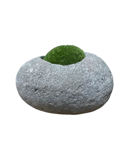 Botanical Boys Green / Grey Indo Riverstone Planted With Preserved Moss Fr Sixty Nine In Multi