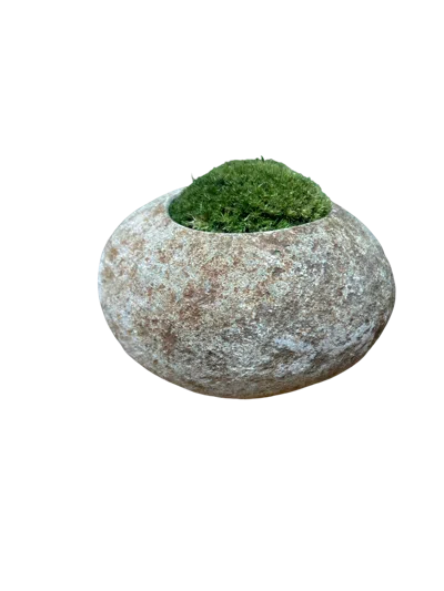 Botanical Boys Green / Grey Indo Riverstone Planted With Preserved Moss Fr70 In Multi