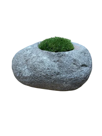 Botanical Boys Green / Grey Indo Riverstone Planted With Preserved Moss Fr71 In Multi