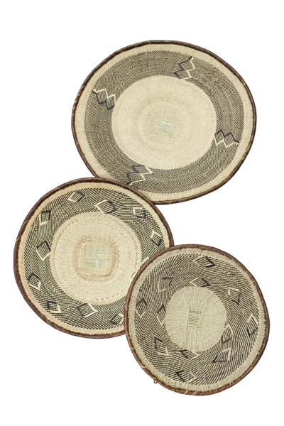 Botanical Boys Neutrals / Brown Tonga Basket Collection - Eighty Seven
