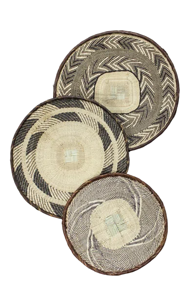 Botanical Boys Neutrals / Brown Tonga Basket Collection - Ninety