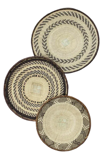 Botanical Boys Neutrals / Brown Tonga Basket Collection - Ninety Five
