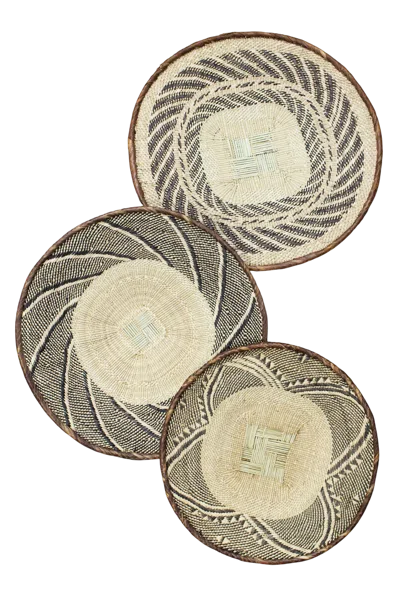Botanical Boys Neutrals / Brown Tonga Basket Collection - Ninety Four