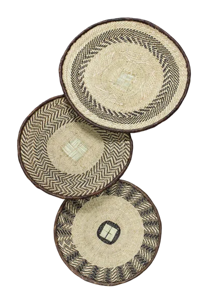 Botanical Boys Neutrals / Brown Tonga Basket Collection - Ninety Two