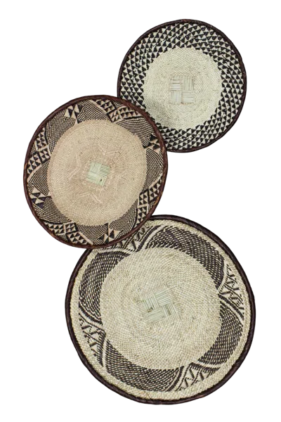 Botanical Boys Neutrals / Brown Tonga Basket Collection - Thirty One