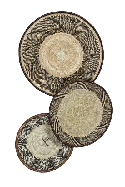 Botanical Boys Neutrals / Brown Tonga Basket Collection - Twenty Six In Multi