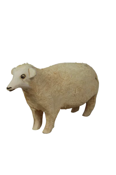 Botanical Boys Neutrals Swazi Sheep One Four One Two In Brown