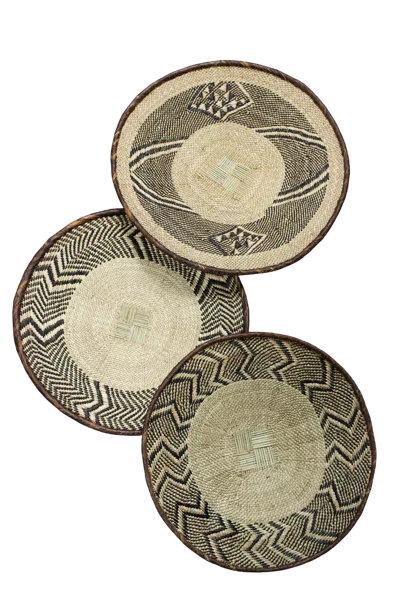 Botanical Boys Neutrals Tonga Basket Collection - Eighty One