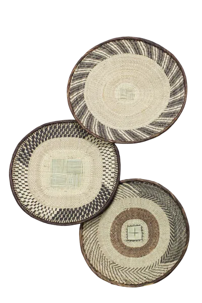 Botanical Boys Neutrals Tonga Basket Collection - Fifty