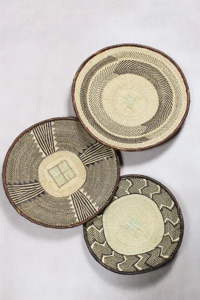 Botanical Boys Neutrals Tonga Basket Collection - Fourty Nine