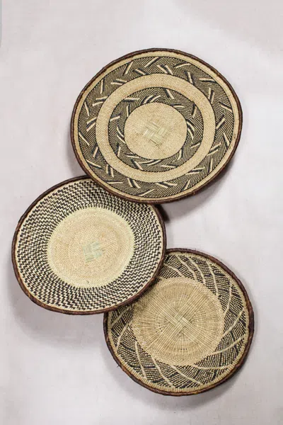 Botanical Boys Neutrals Tonga Basket Collection - Seventy Four