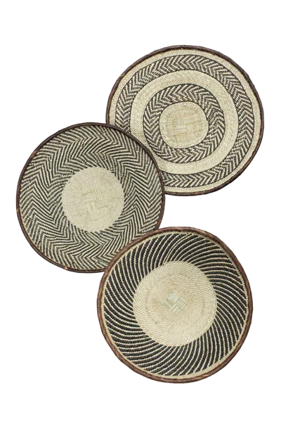 Botanical Boys Neutrals Tonga Basket Collection - Seventy Two