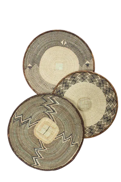 Botanical Boys Neutrals Tonga Basket Collection - Sixty