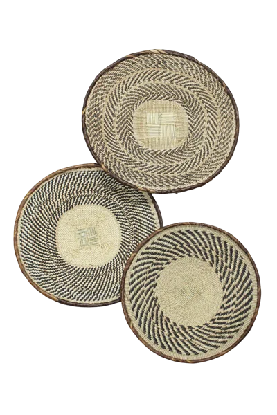 Botanical Boys Neutrals Tonga Basket Collection - Sixty Eight