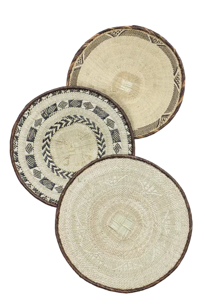 Botanical Boys Neutrals Tonga Basket Collection - Sixty Four