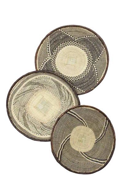 Botanical Boys Neutrals Tonga Basket Collection - Sixty Six