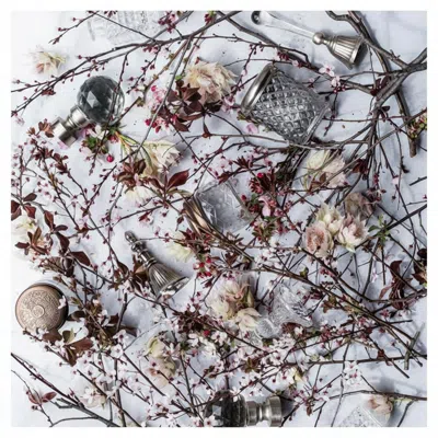Botanical Boys White / Pink / Brown Blushing Bloom Napkins In Multi