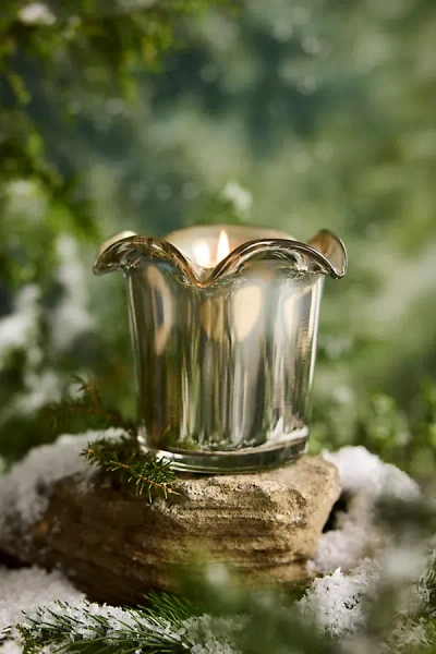 Botaniculture Home Fragrance Botaniculture Evergreen Forest Candle In Green