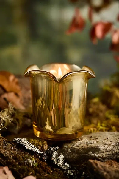 Botaniculture Home Fragrance Botaniculture Fireside Candle