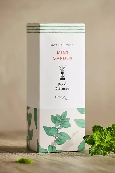 Botaniculture Home Fragrance Botaniculture Reed Diffuser, Garden Mint