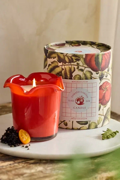 Botaniculture Home Fragrance Botaniculture Tomato Leaf Candle