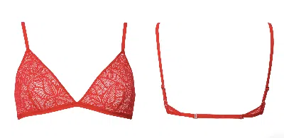 Bott Lingerie Women's Wireless Lace Triangle Bra La First - Red Hot
