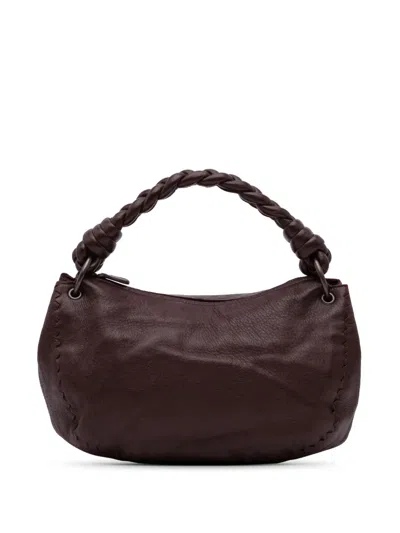 Pre-owned Bottega Veneta 2007 Cervo Hobo Bag In Brown